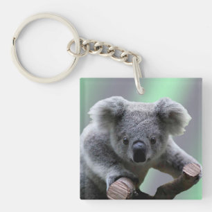 Porte-clés Ours koala