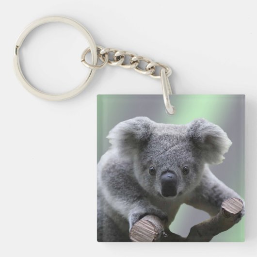 Porte-clés Ours koala (Devant)
