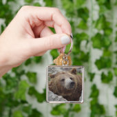 Porte-clés Ours kodiak (main)
