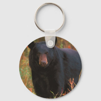 Porte-clés Ours noir