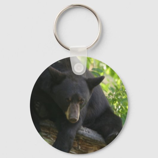 Porte-clés ours noir (Recto)