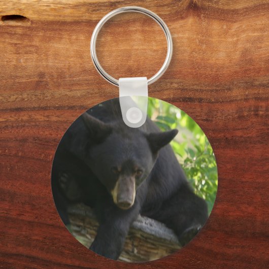 Porte-clés ours noir (Recto)