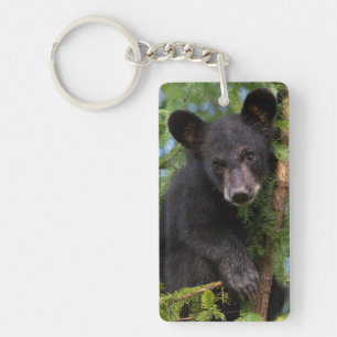 Porte-clés Ours noir jeune jouant dans les arbres