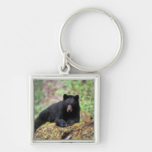 Porte-clés Ours noir sur une vieille bille de bois dans la