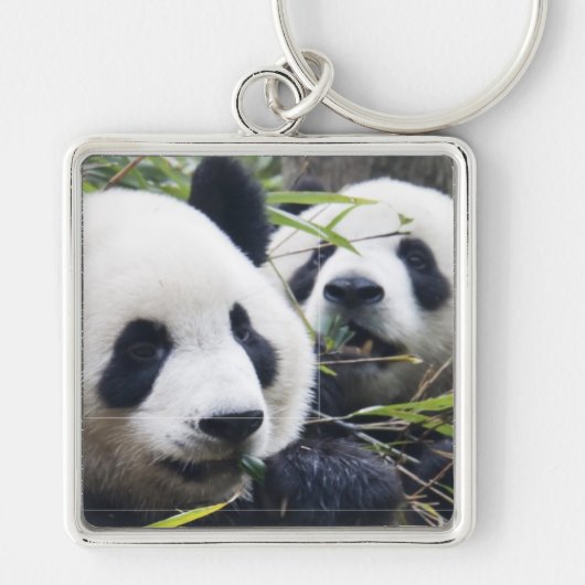 Porte-clés Ours panda (Devant)
