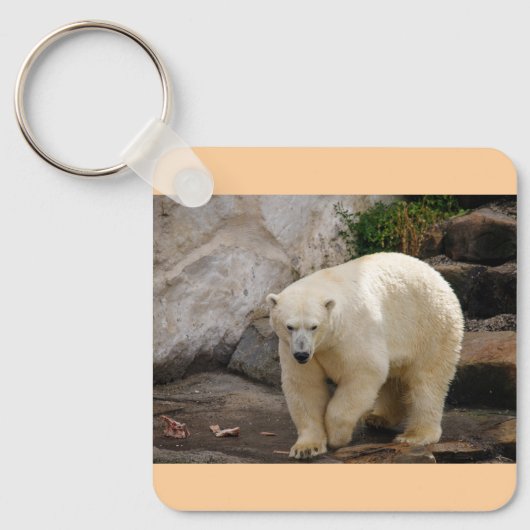 Porte-clés ours polaire (Recto)
