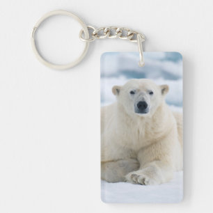 Porte-clés Ours polaire adulte sur la banquise d'été