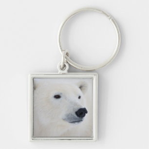 Porte-clés Ours polaire Churchill
