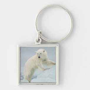 Porte-clés Ours polaire en été