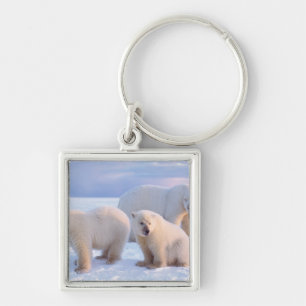 Porte-clés Ours polaire femelle avec des oursons sur la glace