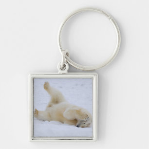 Porte-clés ours polaire, Ursus maritimus, ourson roulant