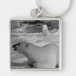 Porte-clés Ours polaire vintage de l'Alaska 1970