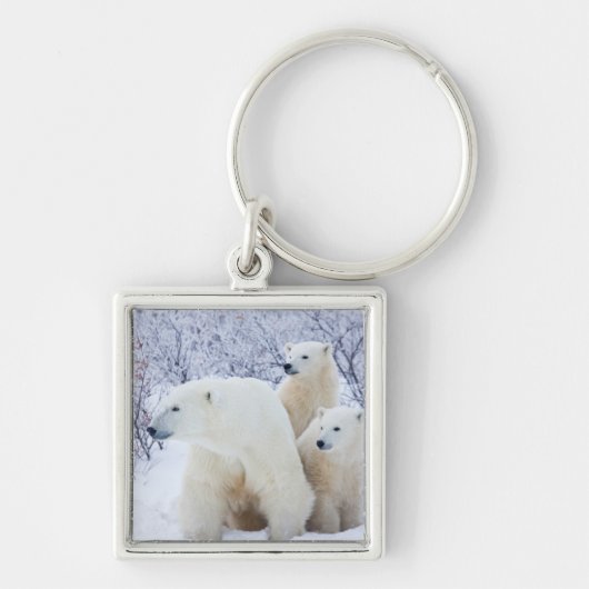 Porte-clés Ours polaires et deux oursons (Devant)