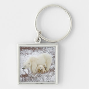 Porte-clés Ours polaires femelle et deux oursons