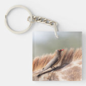 Porte-clés Oxpecker (Devant)