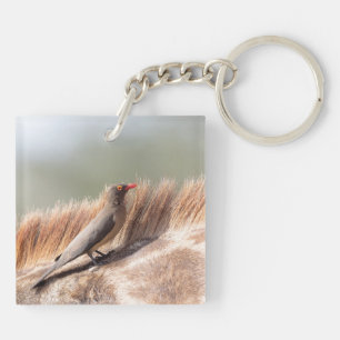 Porte-clés Oxpecker