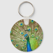 Porte-clés Pacock (Recto)