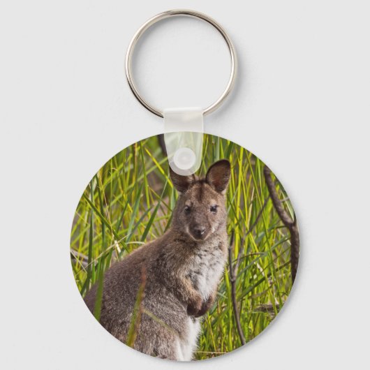 Porte-clés Pademelon de Tasmanie (Recto)
