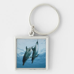 Porte-clés Paire de dauphins