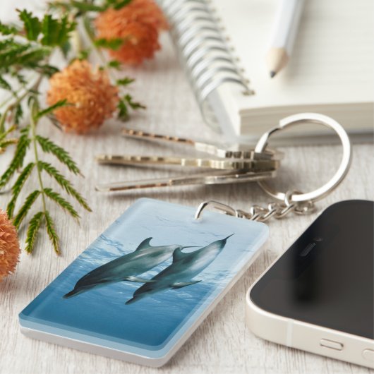 Porte-clés Paire de dauphins (Devant droit)