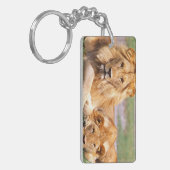 Porte-clés Paire de lions africains, Panthera leo, Tanzanie (Devant gauche)