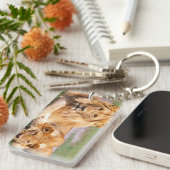 Porte-clés Paire de lions africains, Panthera leo, Tanzanie (Devant droit)