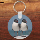 Porte-clés Paire de Mouettes à tête noire (Recto)