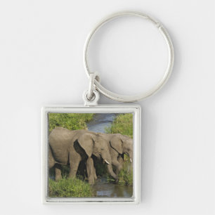 Porte-clés Paire d'éléphants d'Afrique Masai Mara