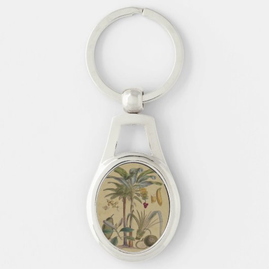 Porte-clés Palm Antique Fruit Tropical Art Botanique (Devant)