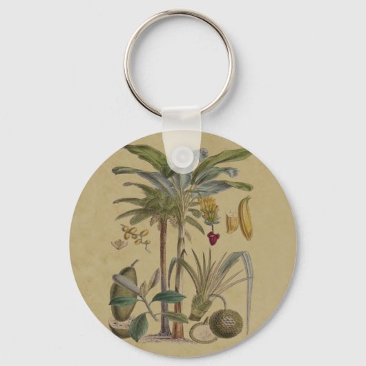 Porte-clés Palm Antique Fruit Tropical Art Botanique (Recto)