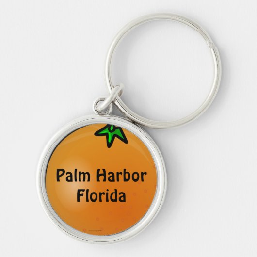Porte-clés Palm Harbour, Floride (Devant)