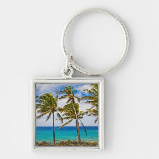 Porte-clés Palmier à coco (Cocos nucifera) se balançant dans (Devant)