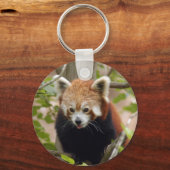 Porte-clés panda-024 (Recto)