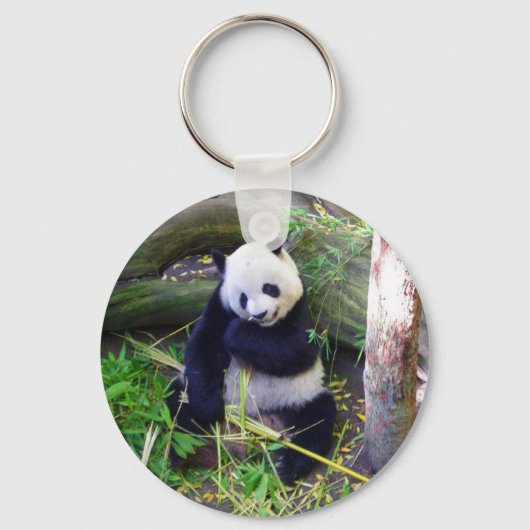 Porte-clés Panda au zoo de San Diego (Recto)