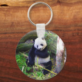 Porte-clés Panda au zoo de San Diego (Recto)
