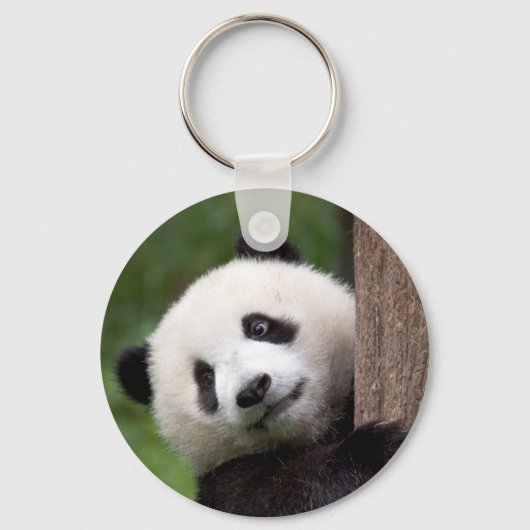 Porte-clés Panda Bear Cub (Recto)