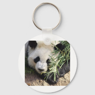 Porte-clés Panda Bear @ Zoo Atlanta