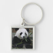 Porte-clés Panda géant (Devant)