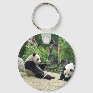 Porte-clés Panda géant dans un zoo pour animaux sauvages en p