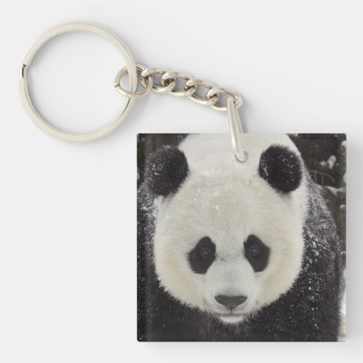 Porte-clés Panda géant en neige (Devant)