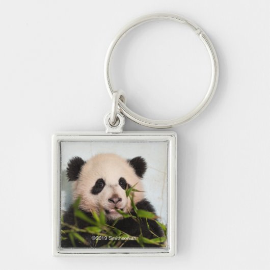 Porte-clés Panda géant penché contre le mur (Devant)