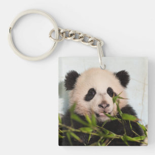 Porte-clés Panda géant penché contre le mur