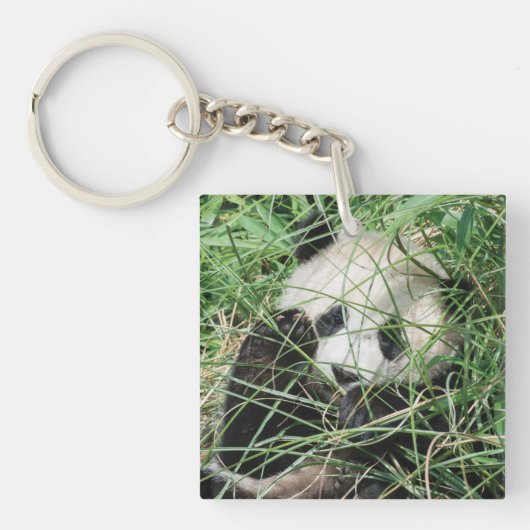 Porte-clés Panda Géant Se Cache Dans L'Herbe (Devant)