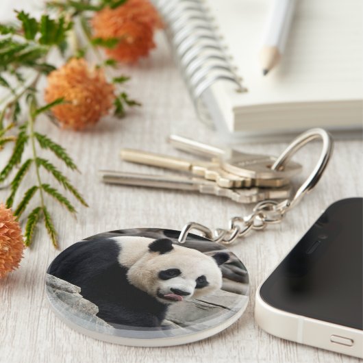 Porte-clés Panda géant sur les rochers (Devant droit)