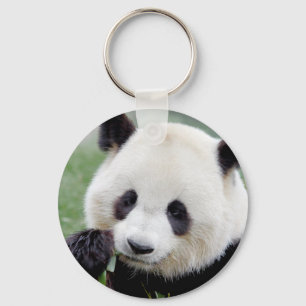 Porte-clés panda, le géant de la photo porte - clé. Panda.