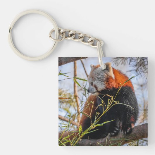 Porte-clés Panda rouge (Devant)