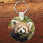 Porte-clés panda-rouge-005 (Recto)