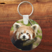 Porte-clés panda-rouge-007 (Recto)