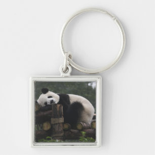 Porte-clés Pandas géants au centre de protection des pandas g