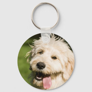 Porte-clés Panneaux de chiot Goldendoodle